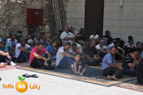 bazsalah lud 712 (55).JPG